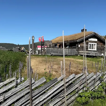 Lemonsjoen, Jotunheimen Vaga